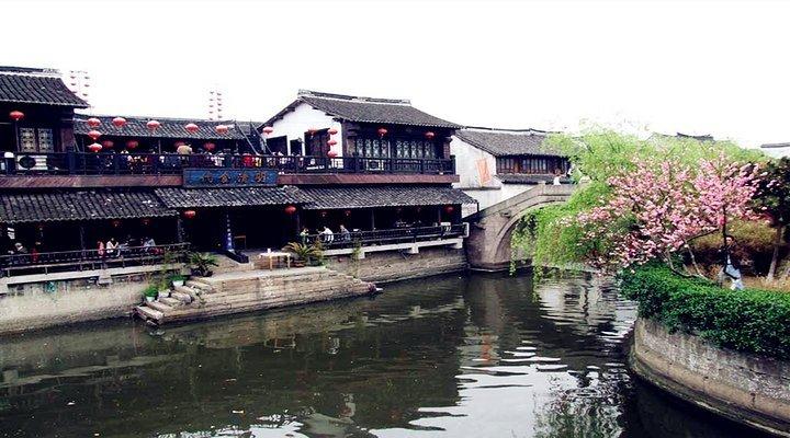 知名女星司机在高速上倒车，跟车粉丝竟效仿